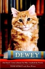DEWEY : Kucing Perpustakaan Kota Kecil yang Bikin Dunia Jatuh Hati